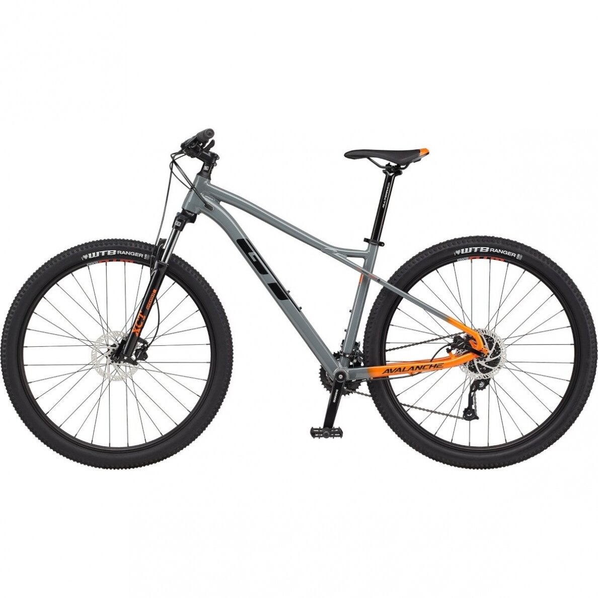 Avalanche Sport 1