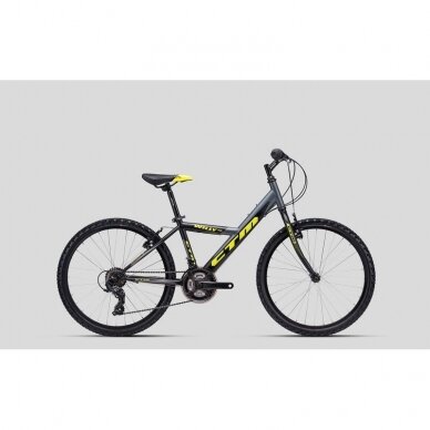 CTM 24", Willy 1.0