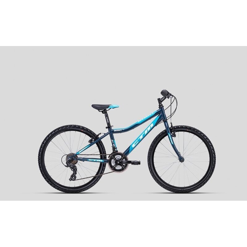 CTM 24", Berry 1.0