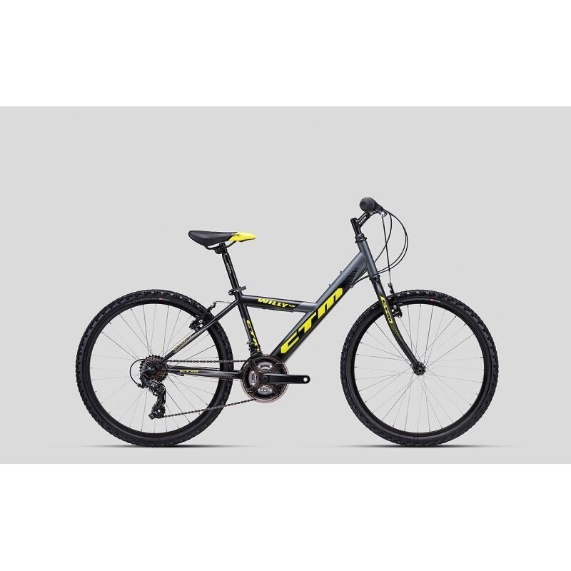 CTM 24", Willy 1.0