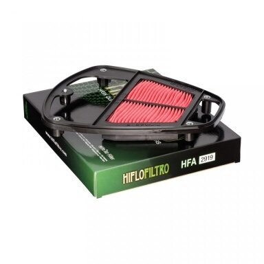 Oro filtras HIFLOFILTRO HFA2919