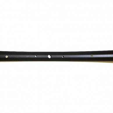 Ratlankis 26" Shining CT-46 4