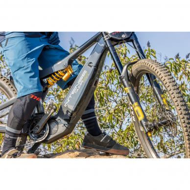 THOR Assist MTB Shorts 2